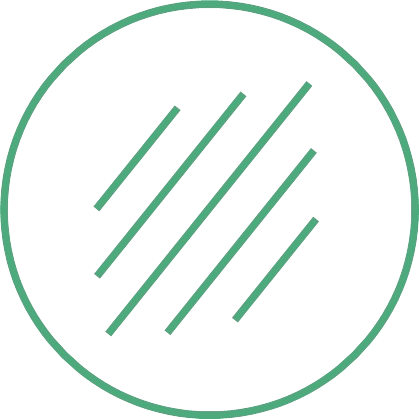 VIGOR Holding